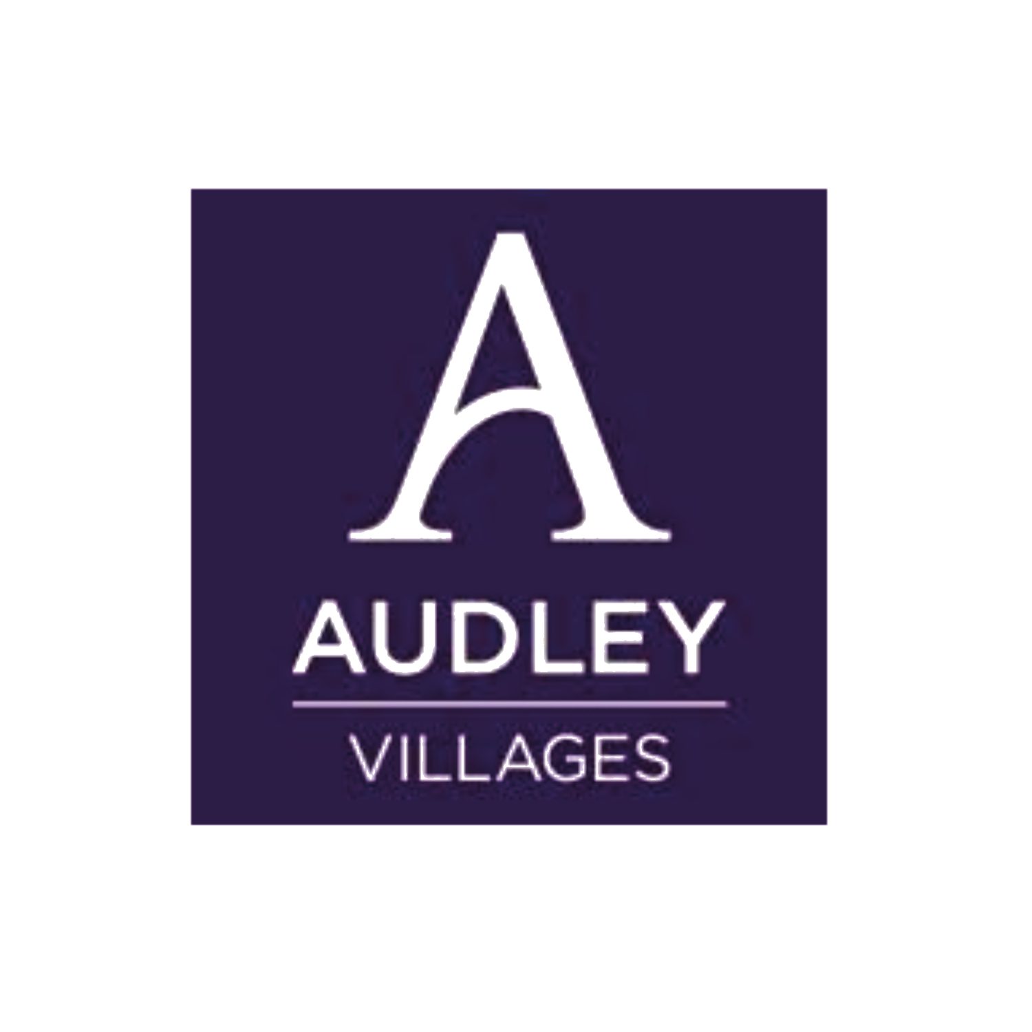logo 4